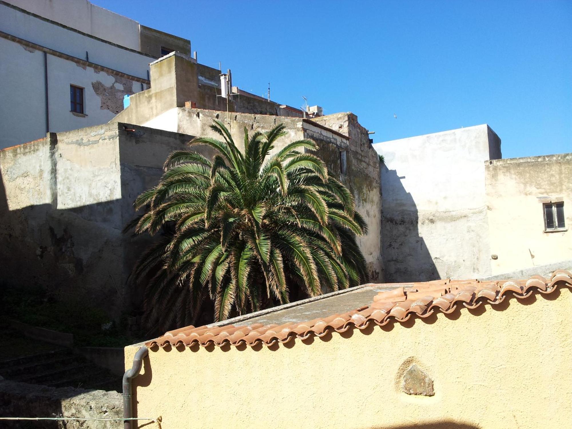 B&B Colti Di Rosa Castelsardo Dış mekan fotoğraf